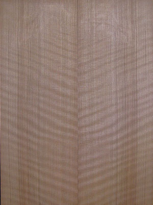 redwood acoustic 11